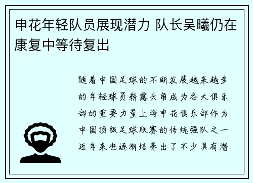 申花年轻队员展现潜力 队长吴曦仍在康复中等待复出